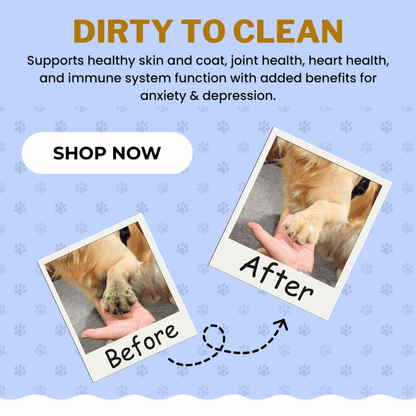 Petsay Paw Cleaner - (BUY 1 GET 1) Offer